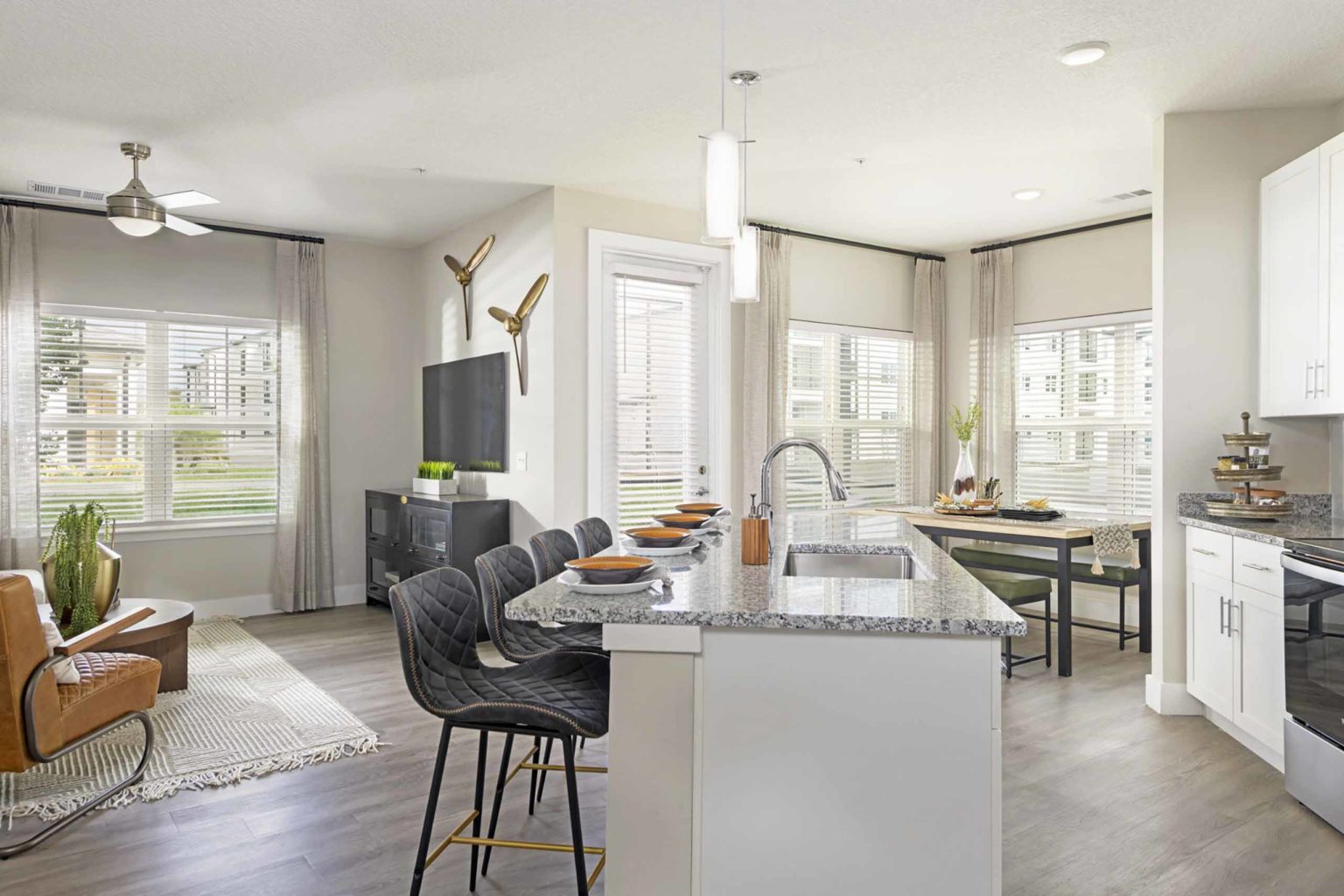 Luxury Condo Rentals In The Apex preview